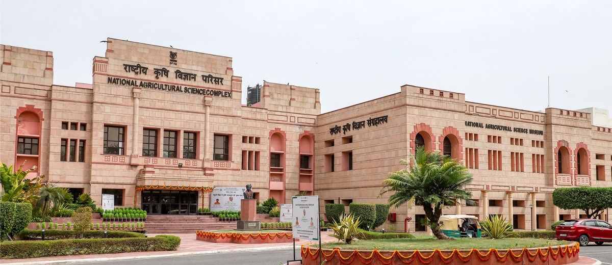 Conference Venue